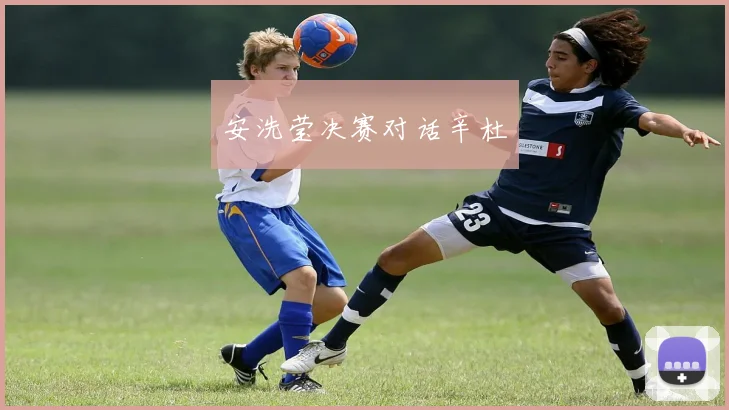 安洗莹决赛对话辛杜