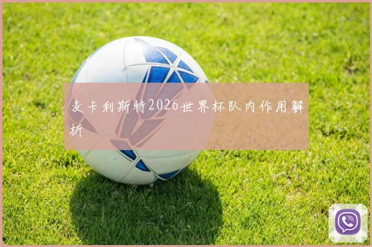 麦卡利斯特2026世界杯队内作用解析