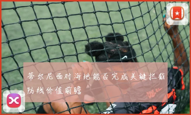 蒂尔尼面对海地能否完成关键拦截防线价值前瞻