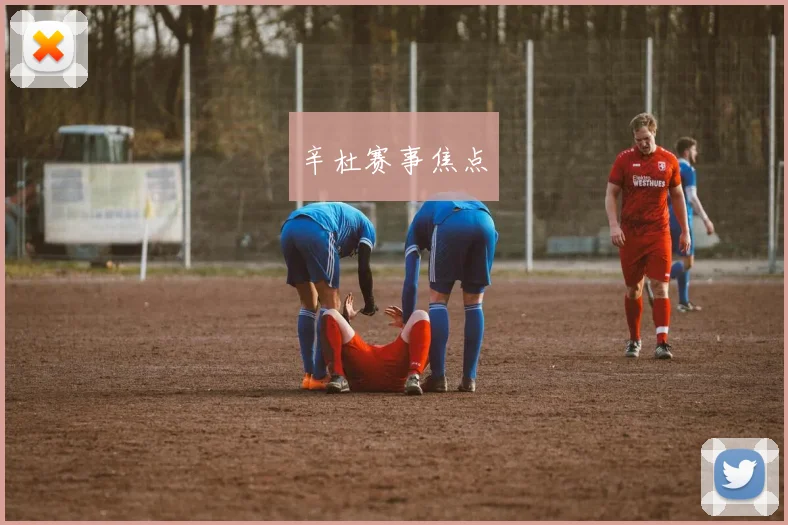 辛杜赛事焦点